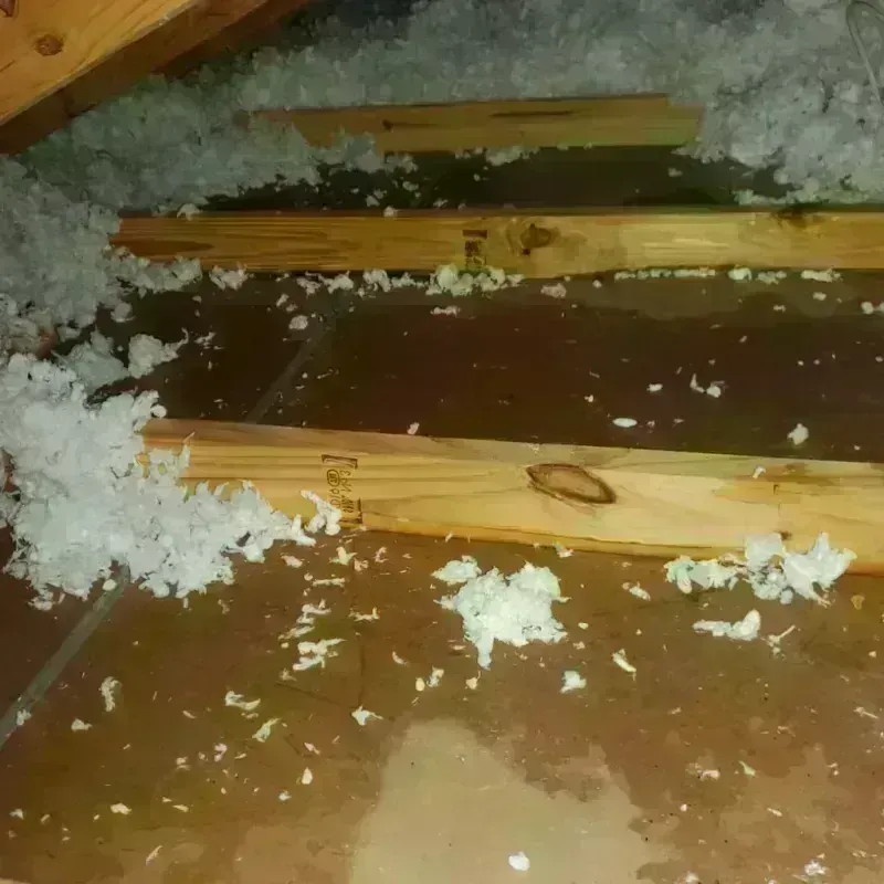 Attic Water Damage in Franklin, IN