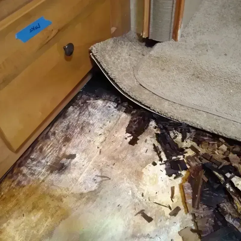 Wood Floor Water Damage in Franklin, IN